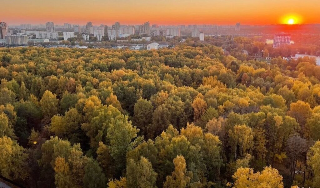 квартира г Москва метро Ховрино ул Дыбенко 7/1 ЖК «Discovery Park» Московская область фото 15