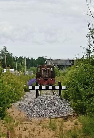 Трасса Сортавала, 9757 км, Куйвозовское сельское поселение, Васкелово фото