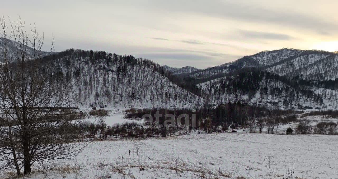 земля р-н Шебалинский с Камлак фото 2