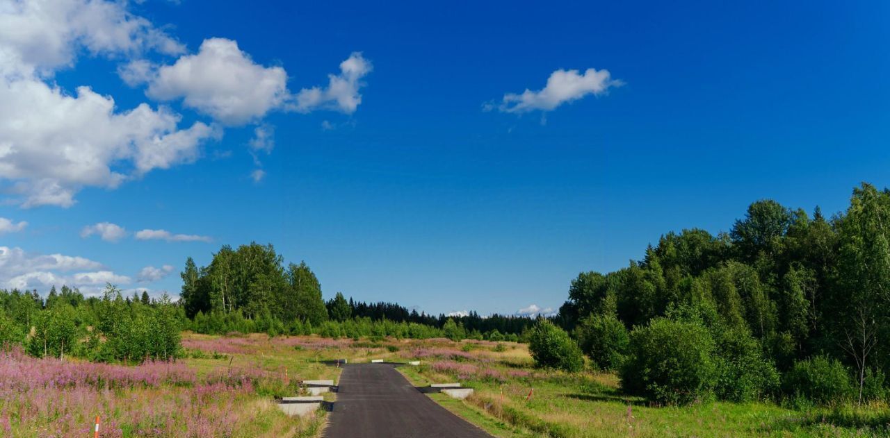 земля р-н Выборгский п Первомайское пос, Сабур-3 СНТ, 24 фото 15