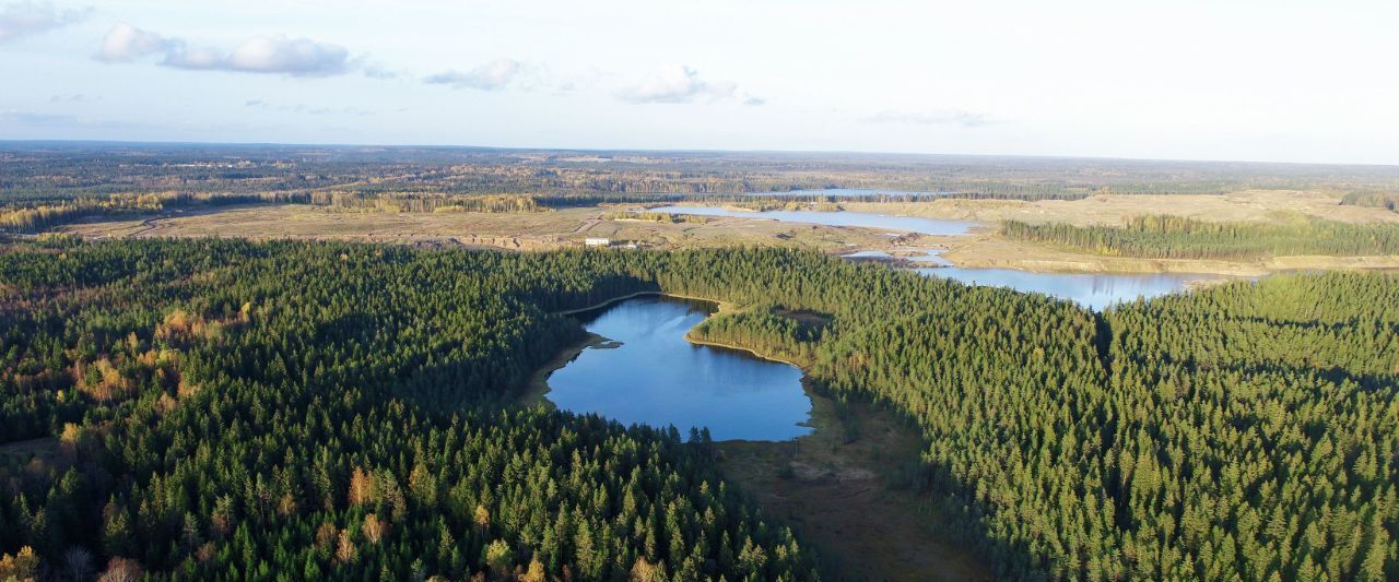 земля р-н Выборгский п Первомайское пос, Сабур-3 СНТ, 24 фото 20