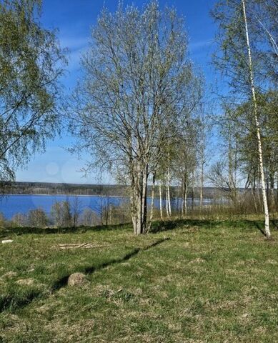 Трасса Сортавала, 61 км, Петровское сельское поселение фото