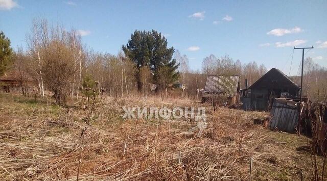 Раздольненский сельсовет, Почтовик садовое товарищество фото