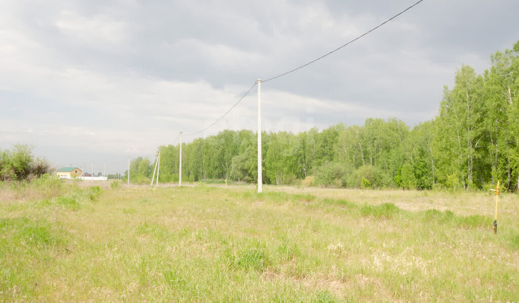 земля г Заводоуковск ул Пригородная фото 10