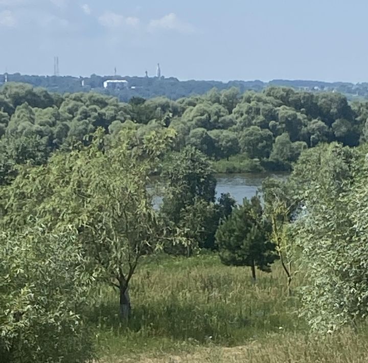 дом городской округ Серпухов д Лужки ул Заречная фото 9