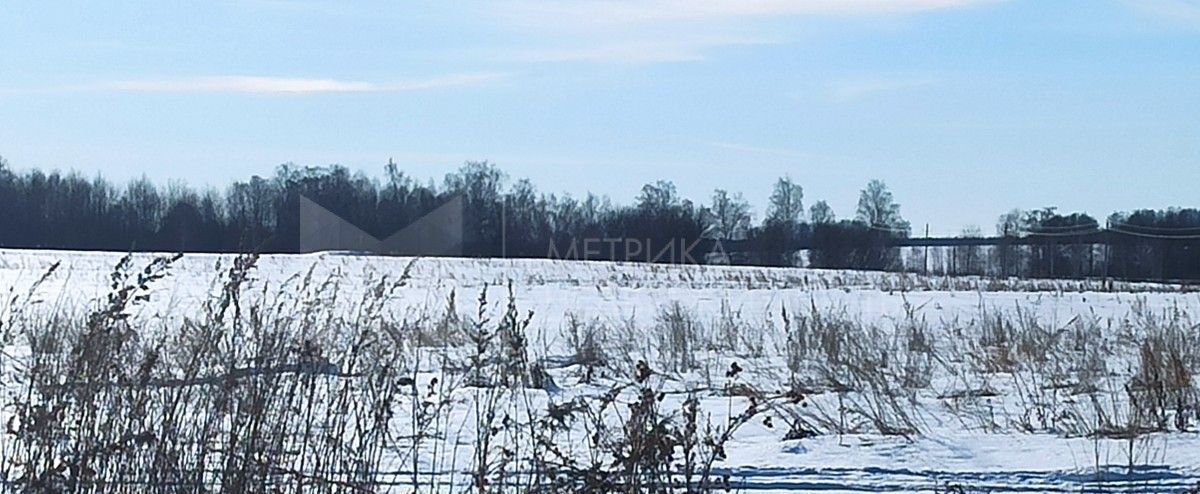 земля р-н Тюменский рп Винзили фото 5