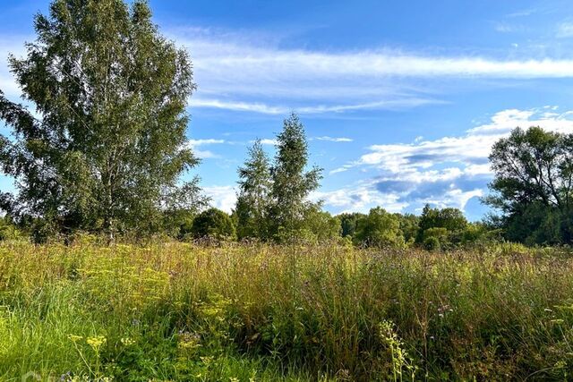 городской округ Переславль-Залесский, село Копнино фото