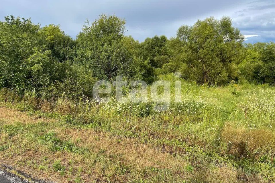 земля р-н Алексеевский Ближнее Чесночное фото 1