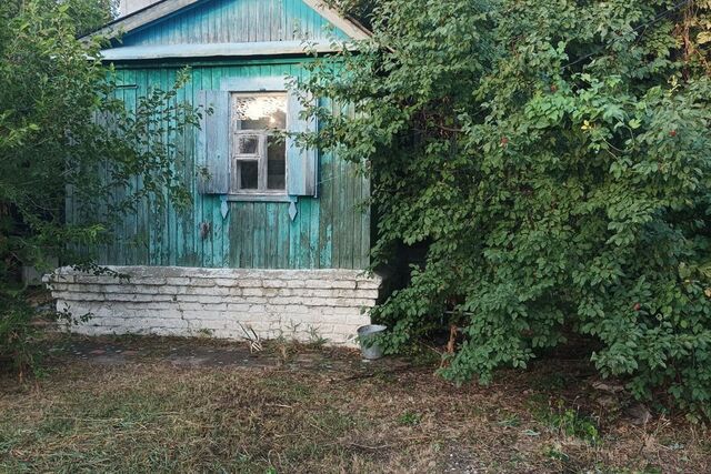 р-н Кировский городской округ Волгоград, Алычевая фото