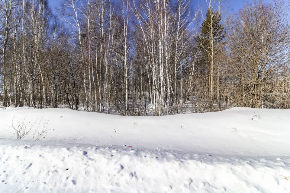 земля р-н Нижнетавдинский д Московка пр-кт Кольцевой фото 5