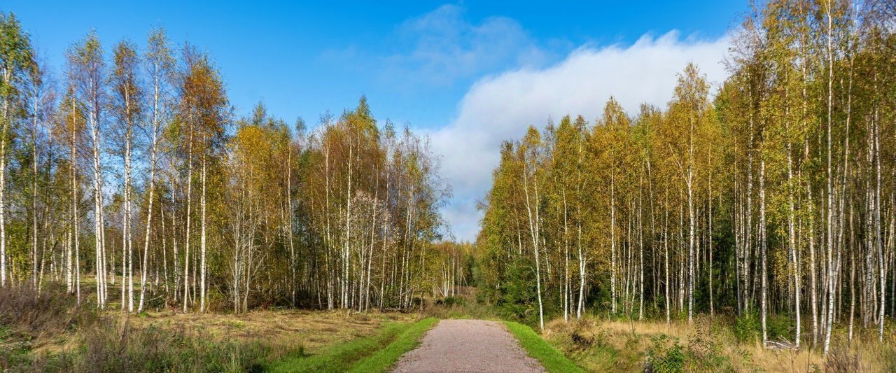 земля р-н Выборгский п Красная Долина Приморское городское поселение фото 35