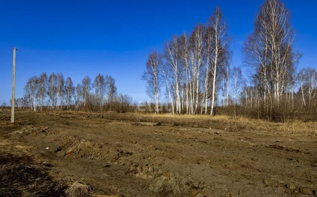 ТСН Строитель, Нижнетавдинский р-н фото