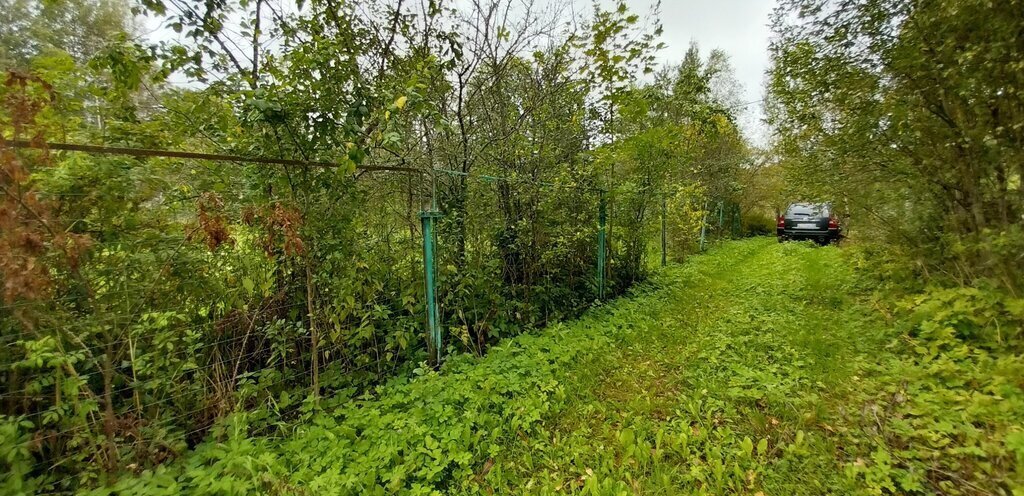 дом р-н Новгородский д Локоток Бронницкое сельское поселение фото 3