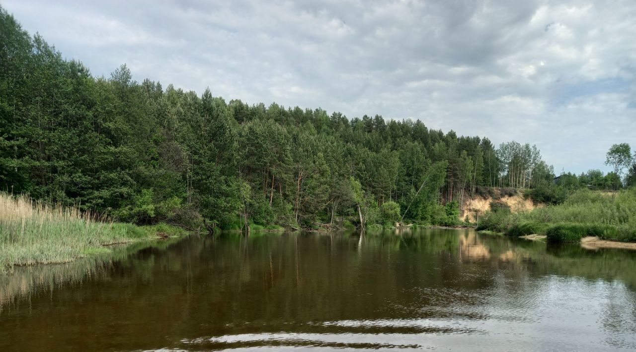 земля р-н Городецкий д. Воловое фото 6