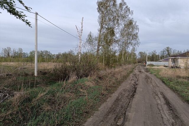 р-н Левобережный городской округ Воронеж, Левобережный фото