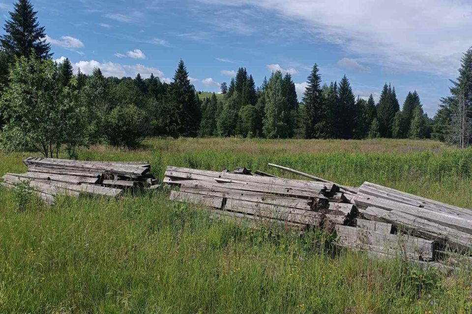 земля г Добрянка п Мутная ул Пионерская Добрянский городской округ фото 4