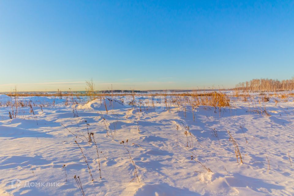 земля р-н Красноармейский село Харино фото 3