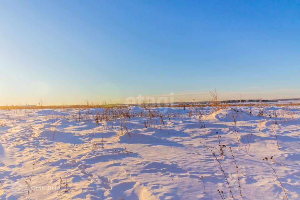 земля р-н Красноармейский село Харино фото 4