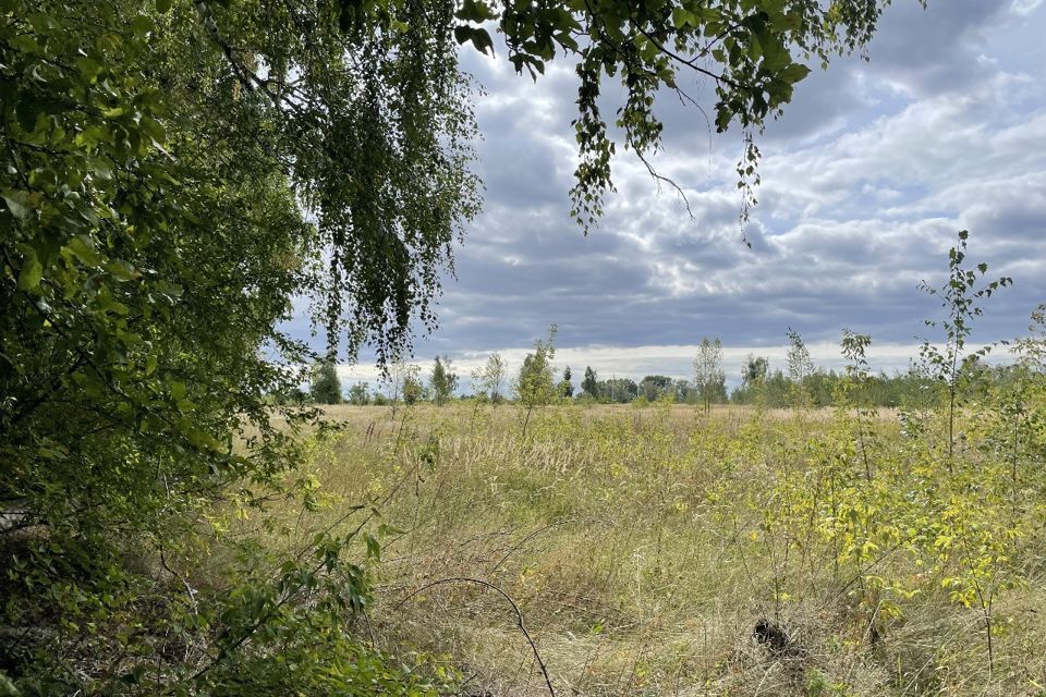 земля г Воронеж р-н Левобережный городской округ Воронеж, Левобережный фото 4