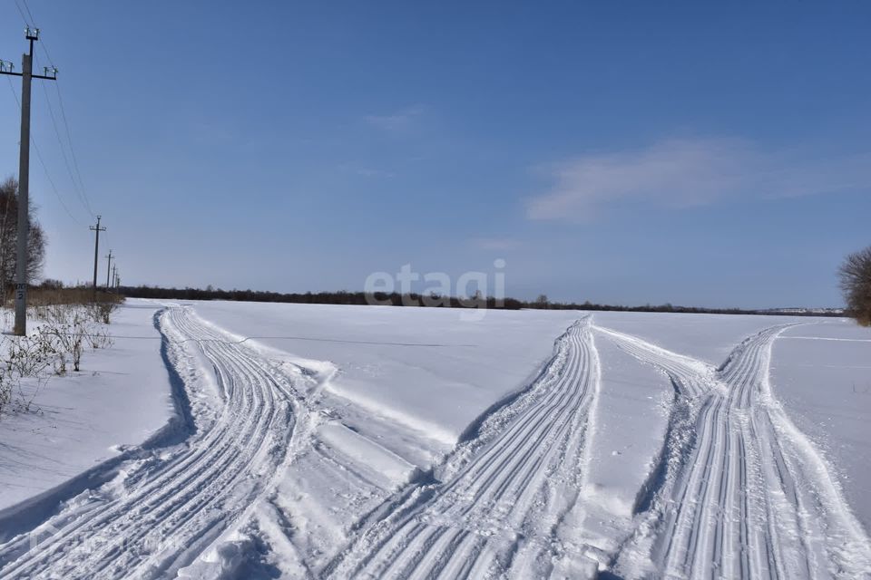 земля р-н Красногорский село Берёзовка фото 1