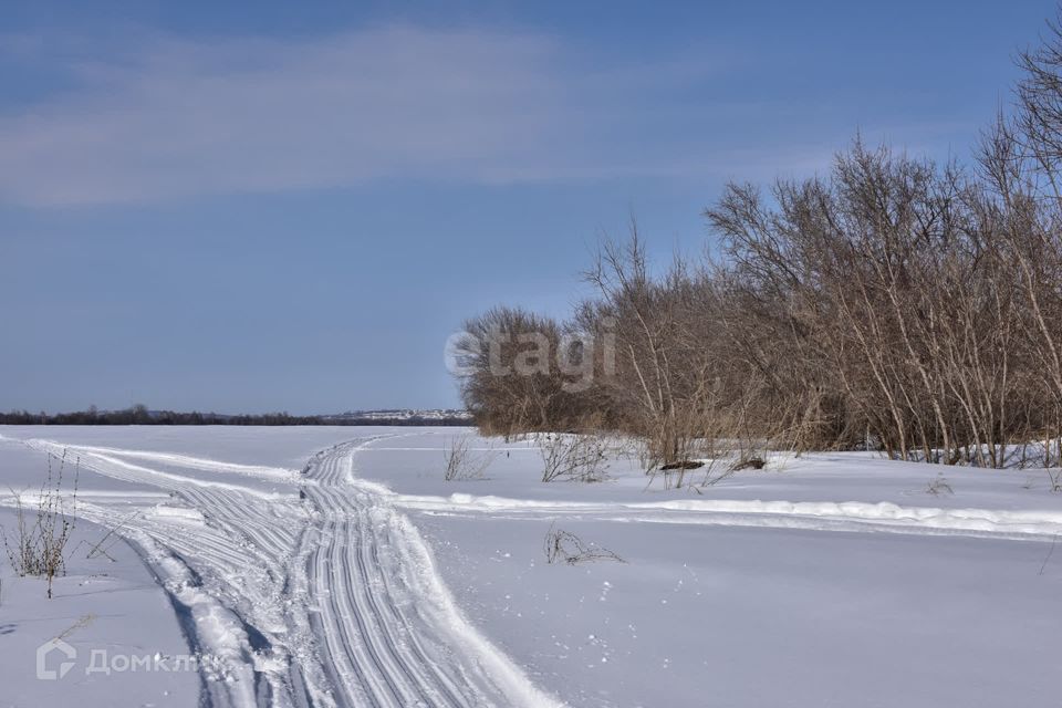 земля р-н Красногорский село Берёзовка фото 2