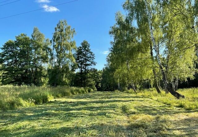 д Дадровка сельское поселение Высокиничи, Жуков фото