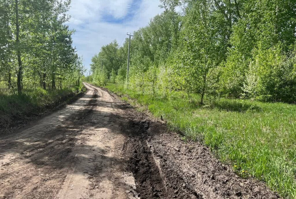 земля р-н Первомайский п Новый микрорайон Александрова слобода фото 4