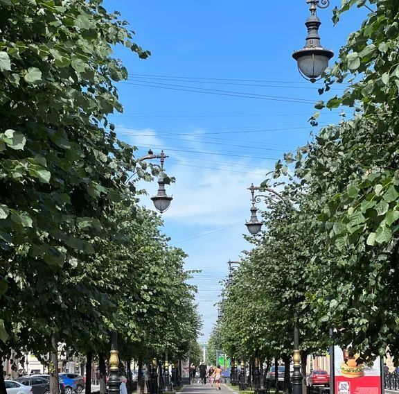 квартира г Санкт-Петербург метро Чернышевская ул Шпалерная 38 фото 22