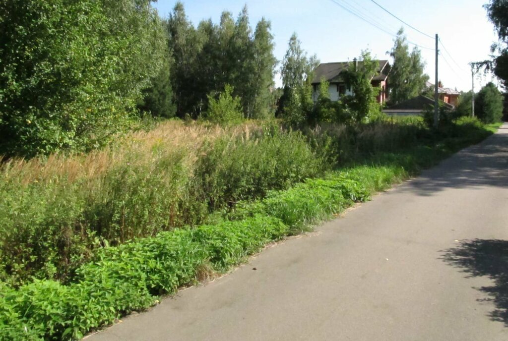 дом городской округ Одинцовский д Сальково Берёзовая аллея фото 19