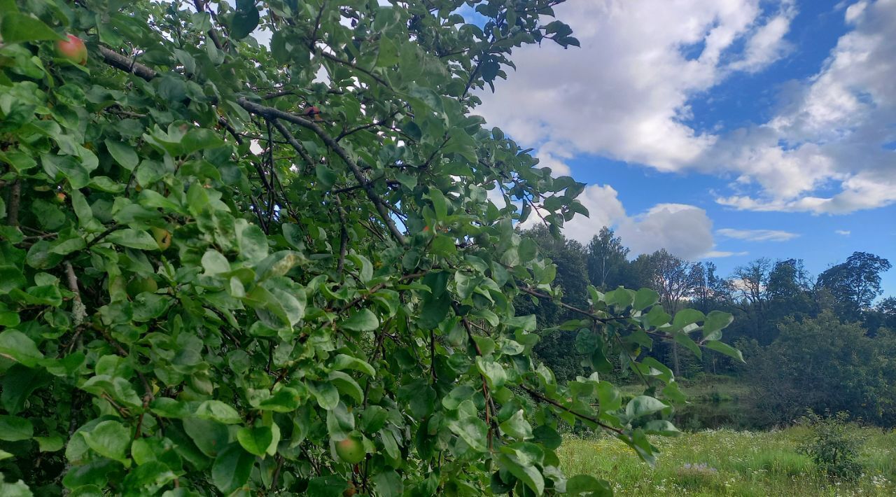 земля городской округ Серпухов д Глебово снт Биоприбор фото 6