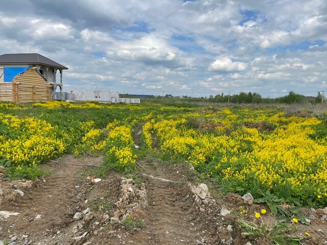 городской округ Химки, Ленинградское фото