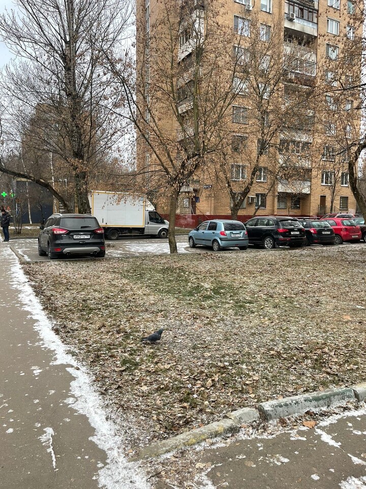 торговое помещение г Москва метро Балтийская ул Новопетровская 10 муниципальный округ Коптево фото 7