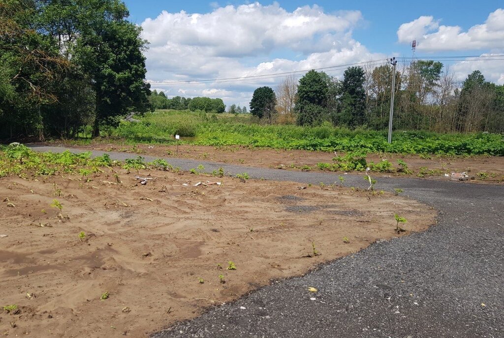 земля городской округ Клин д Григорьевское фото 22