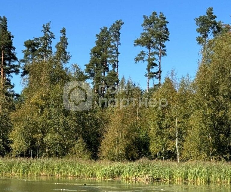 земля р-н Приозерский посёлок Сосново фото 2