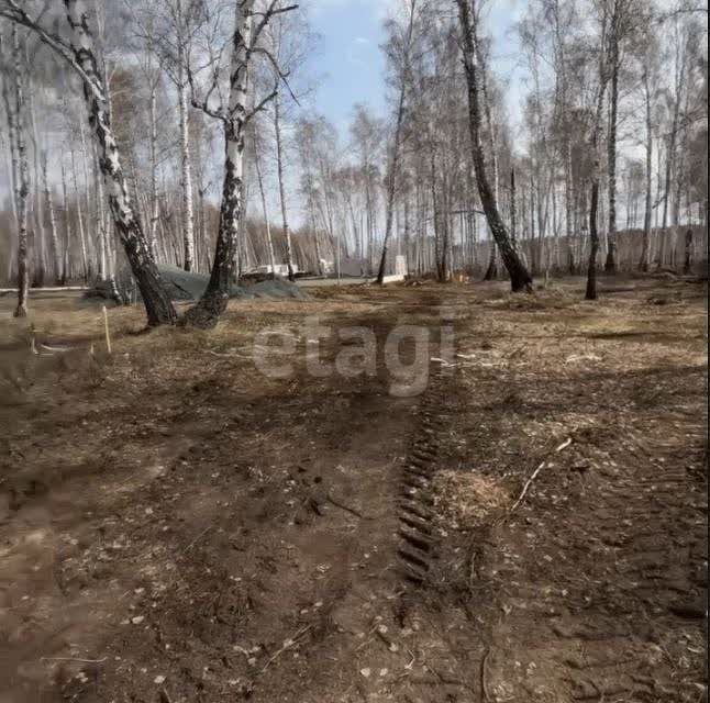 земля р-н Сосновский территория жилая застройка СИЖ фото 10