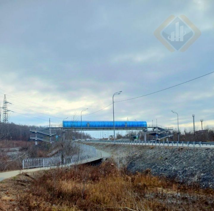 земля г Владивосток п Трудовое ул Клары Цеткин 36 Советский район фото 8