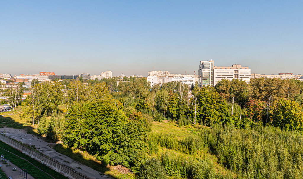 квартира г Санкт-Петербург метро Площадь Мужества р-н Пискарёвка дор Кушелевская 7к/4 ЖК «ЦДС «Кантемировский»» фото 8