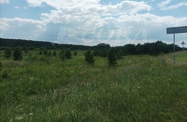 земля р-н Нижнетавдинский Черепановское сельское поселение фото