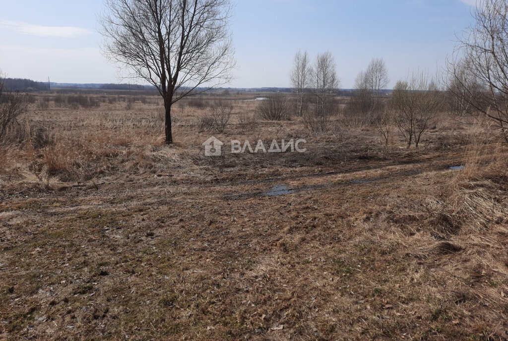 дом р-н Собинский д Сулуково ул Центральная 23 фото 2