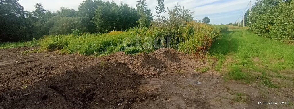 земля р-н Зеленоградский п Осокино снт тер.Природа Зеленоградский муниципальный округ фото 4