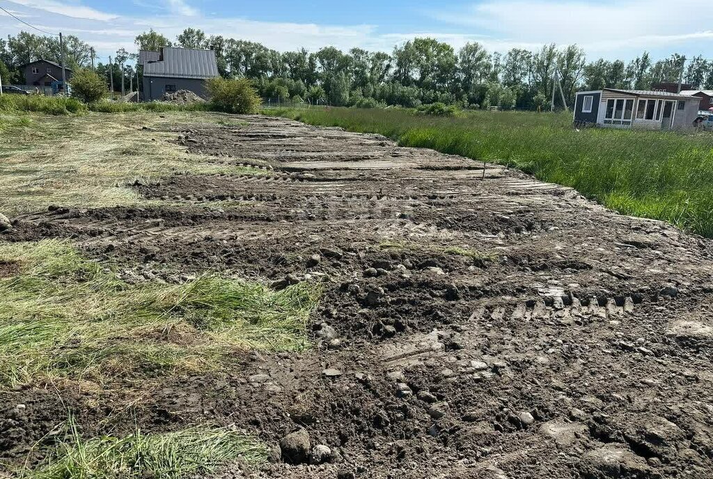 земля р-н Зеленоградский п Куликово снт Светлогорское Зеленоградский муниципальный округ фото 16