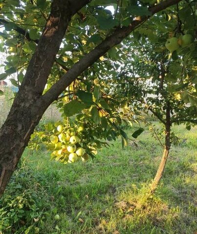 земля ул Новгородская фото