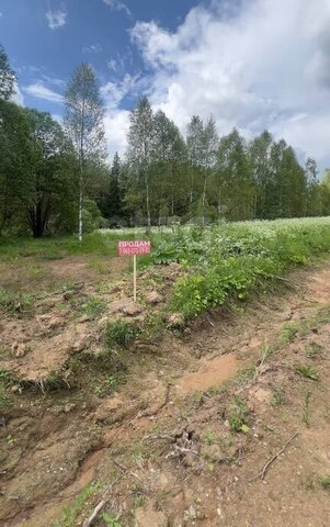 снт Звезда Волоколамский городской округ фото