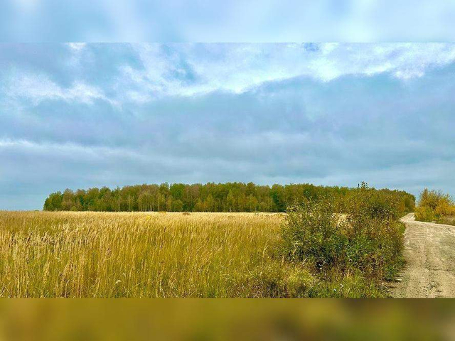 д Малое Макаево ул Лесная фото