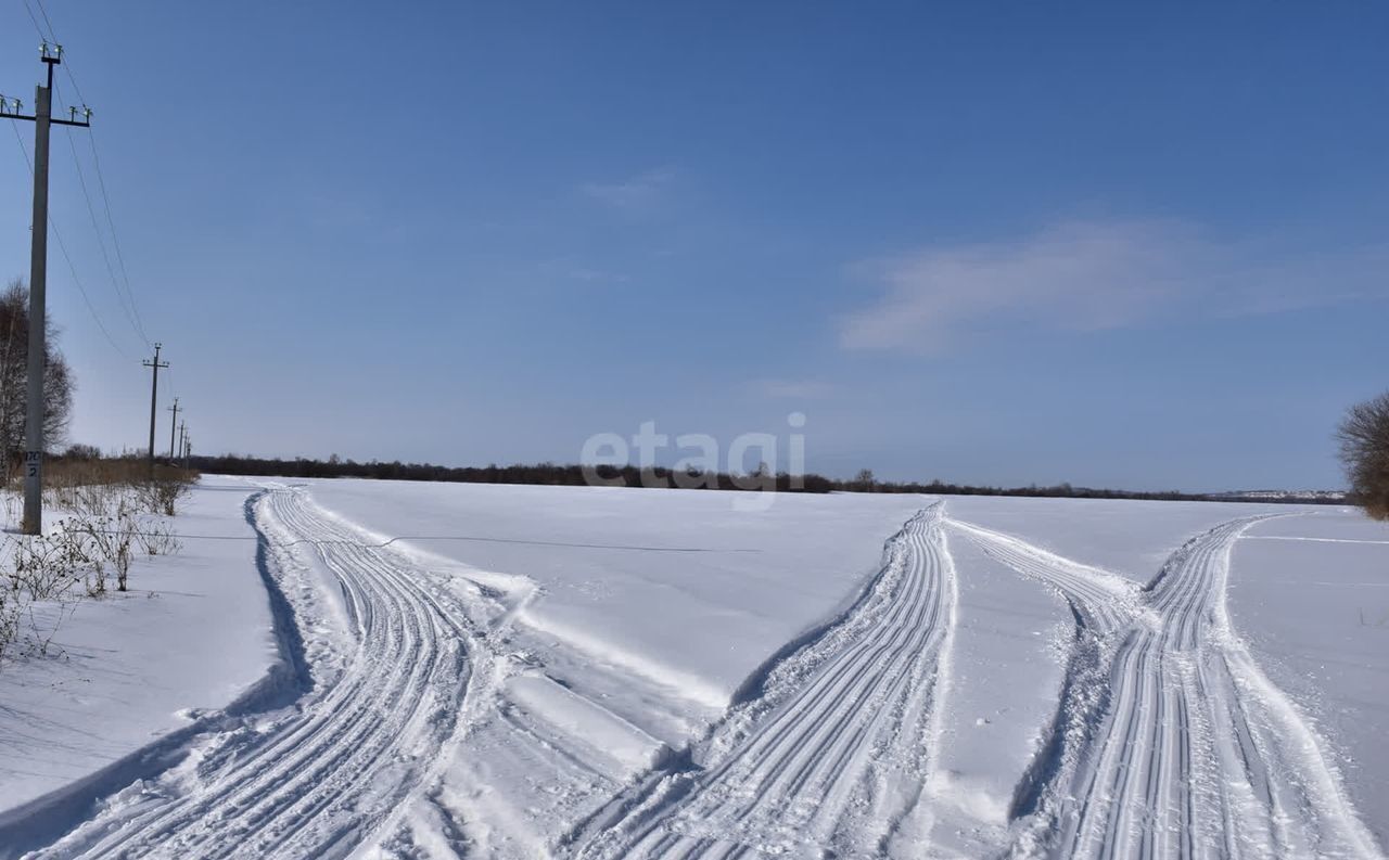 земля р-н Красногорский с Березовка ул Рябиновая 1 Сростки фото 1