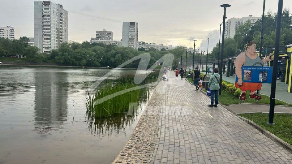 квартира г Москва метро Беляево ул Введенского 26 фото 11