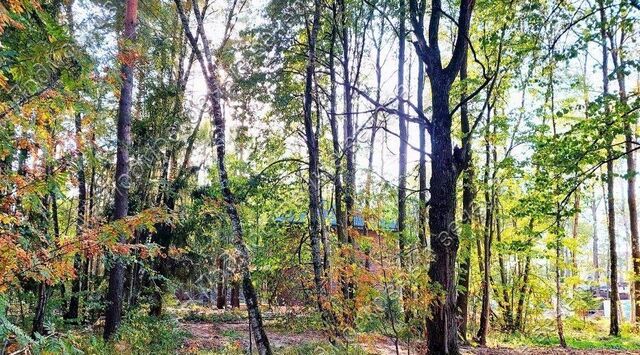 направление Ленинградское (северо-запад) ш Пятницкое Дачной застройки Бризе кв-л, Химки городской округ фото