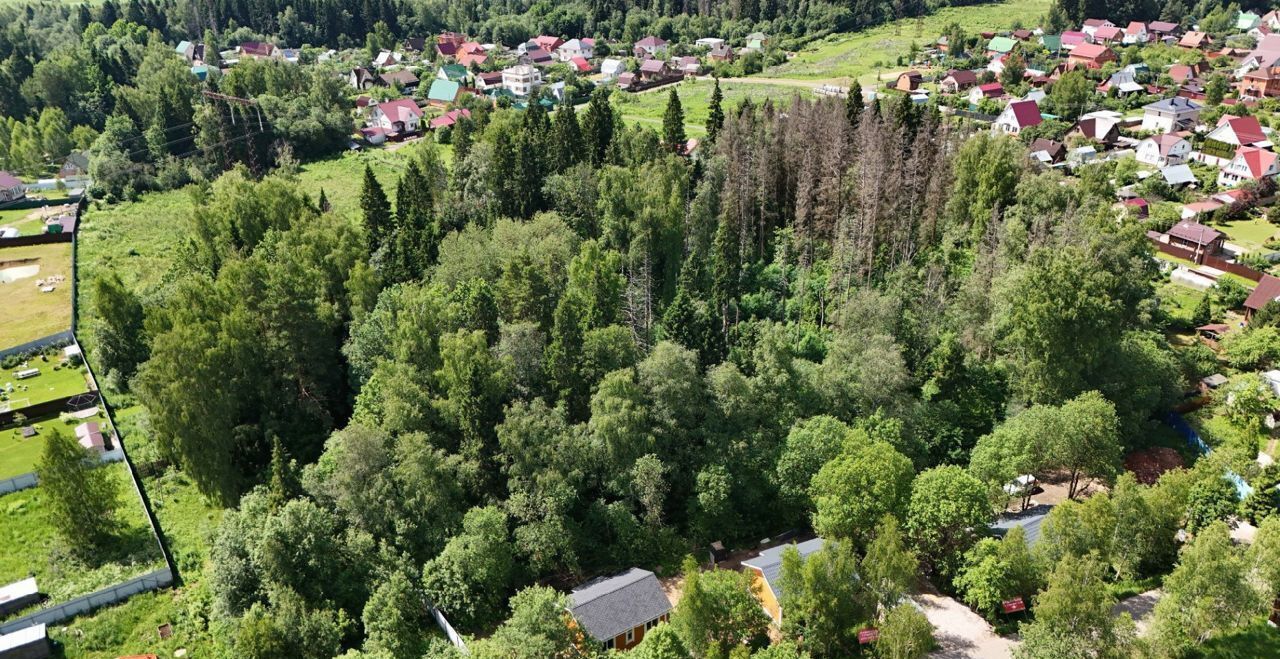 земля городской округ Солнечногорск рп Менделеево 25 км, 3, д. Никольское, г. о. Солнечногорск, Ленинградское шоссе фото 9