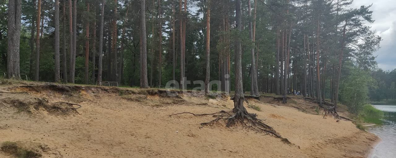 земля р-н Лужский г Луга мкр Шалово Киевское шоссе, 9840 км, Лужское городское поселение фото 25