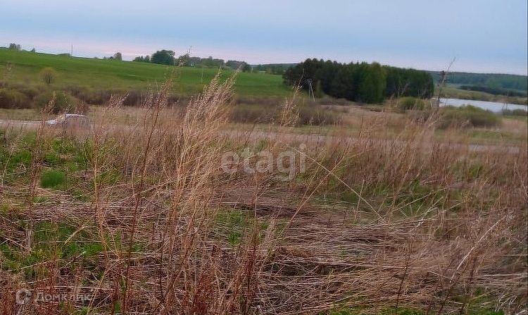 земля р-н Байкаловский село Шадринка фото 8